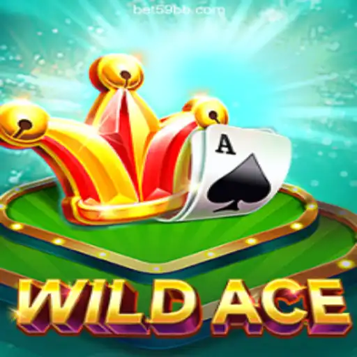 Exploring the Thrills of WildAce: The Ultimate Casino Adventure